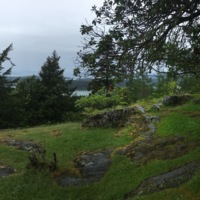 Panorama from Young Hill