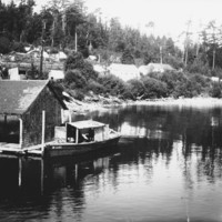 Camp at Friday Harbor, San Juan Island, Washington, ca 1908